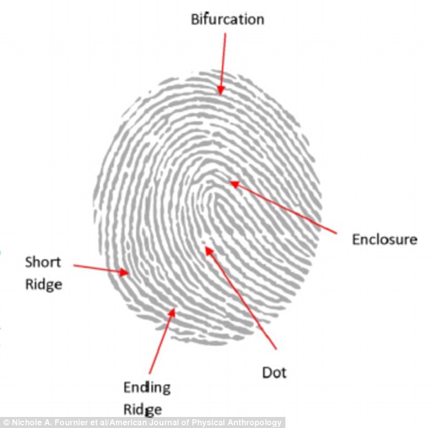 Fingerprints