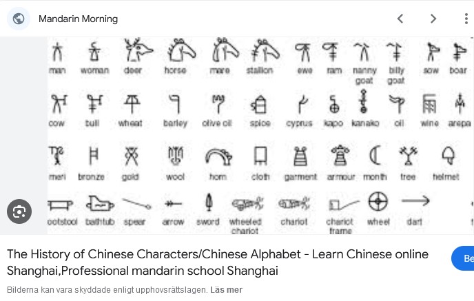 Screenshot 1history of chinese wr