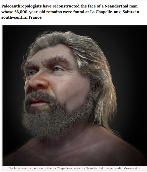 Screenshot 1reconstruted neanderthal face l