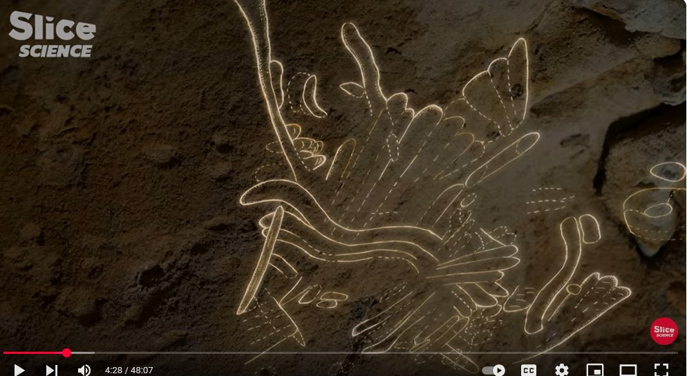 Screenshot 2slice