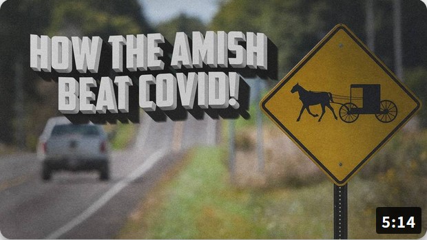 amish beat covid