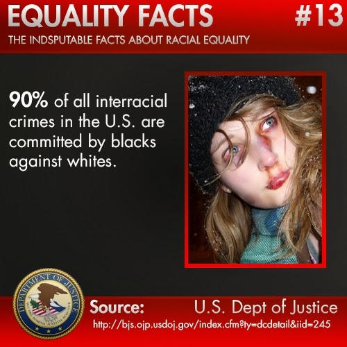 DOJ Race Crime Statistics