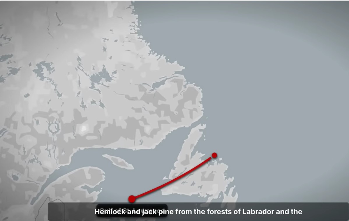 Screenshot 1jack pine