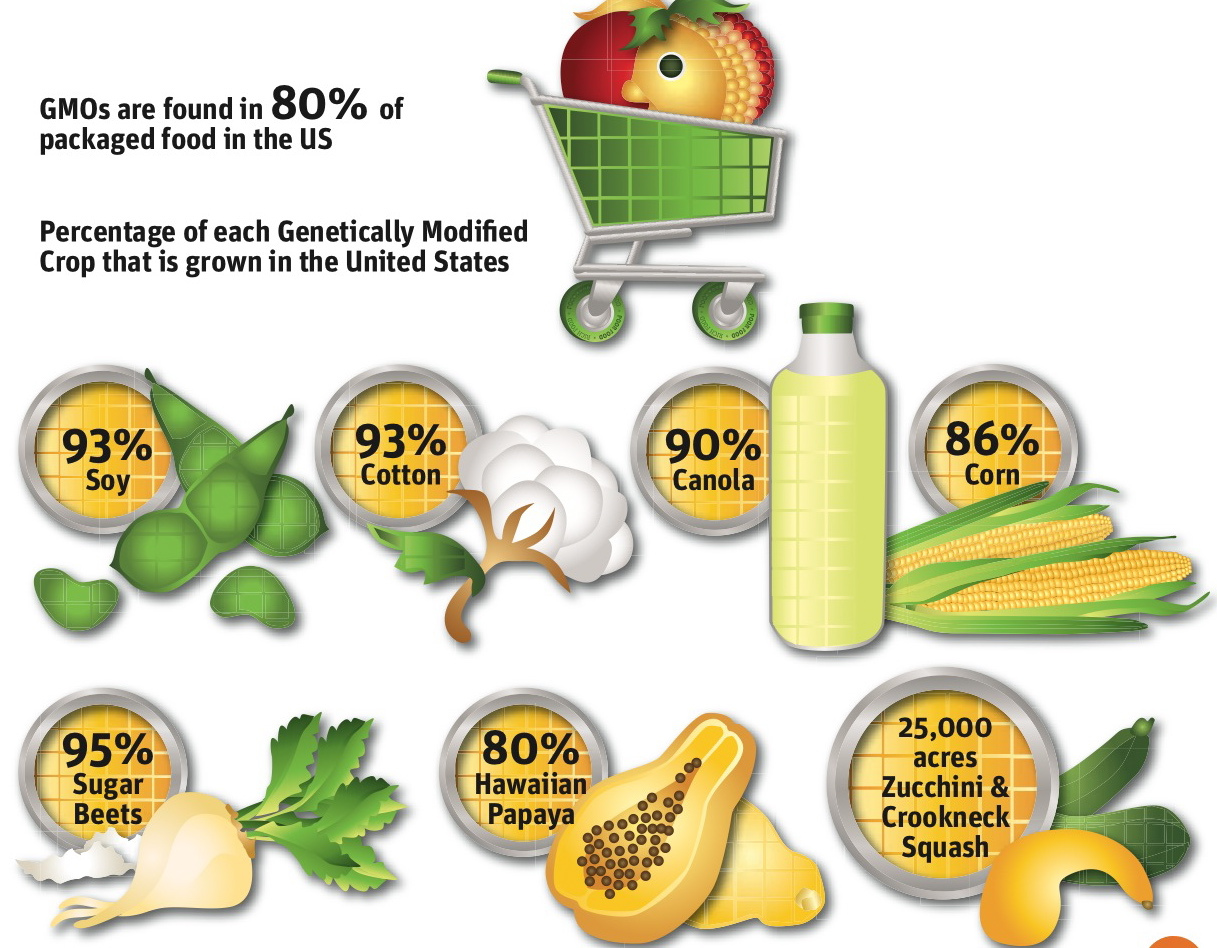 GMOS Percentages Monsanto