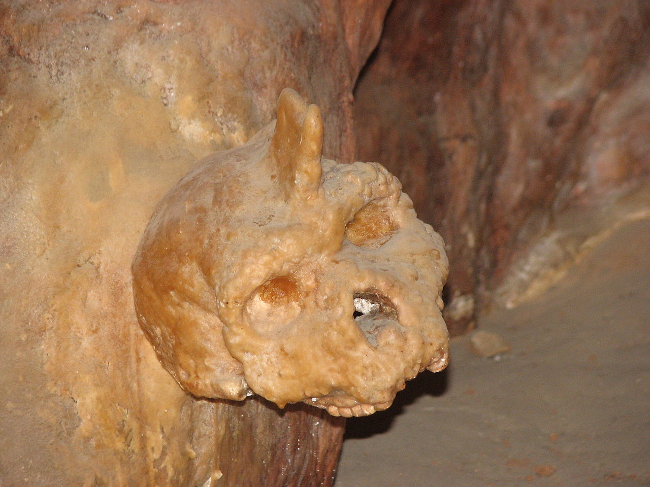 Petralona skull